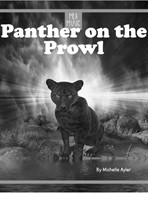 Panther on the Prowl (Beginner Piano Solo)